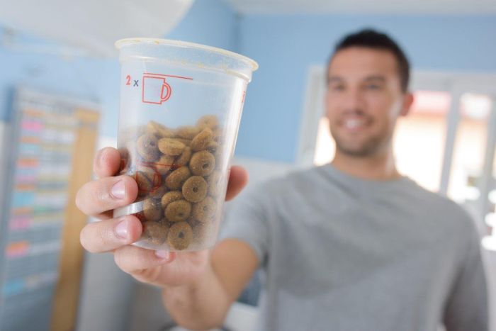 What cup size is correct for a serving portion? — Newlands Pets