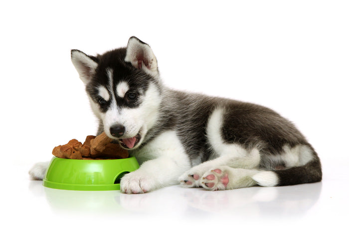 What is COMPLIMENTARY Raw Dog Food?
