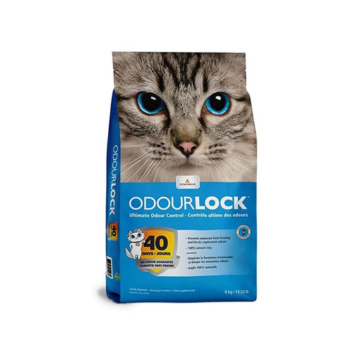 Intersand Odourlock Cat Litter 6kg