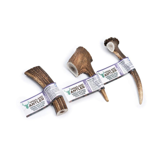 Antos Antler Medium