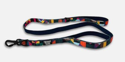 Twiggy Tags Adventure Lead with Close Control Handle Aurora 1.5m