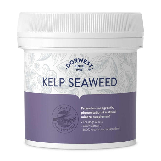 Dorwest Herbs Kelp Seaweed Powder 250g