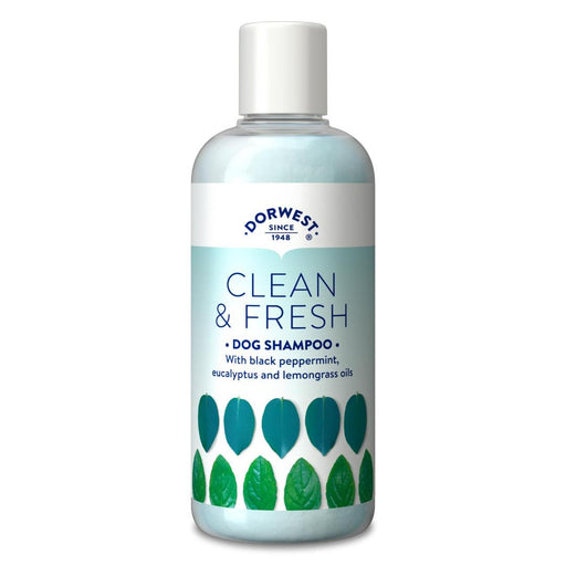 Dorwest Herbs Clean & Fresh Shampoo 250ml