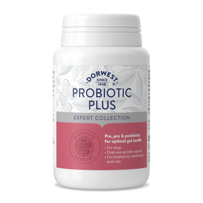 Dorwest Herbs Probiotic Plus for Dogs 100pk