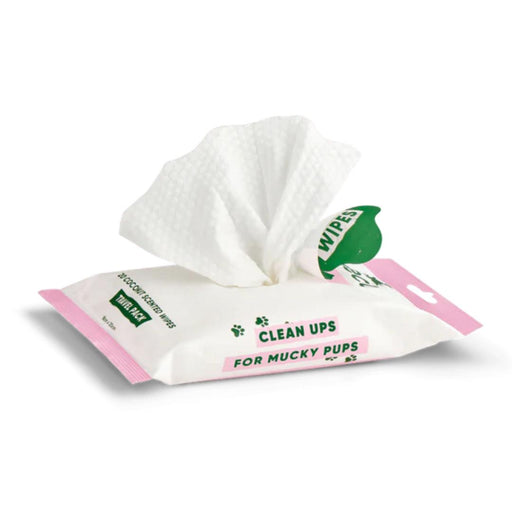 Beco Bamboo Travel Wipes Coconut Scented 20pk