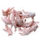 Dougies Raw Bones Chicken Feet 1kg