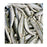 Dougies Raw Sprats 1kg