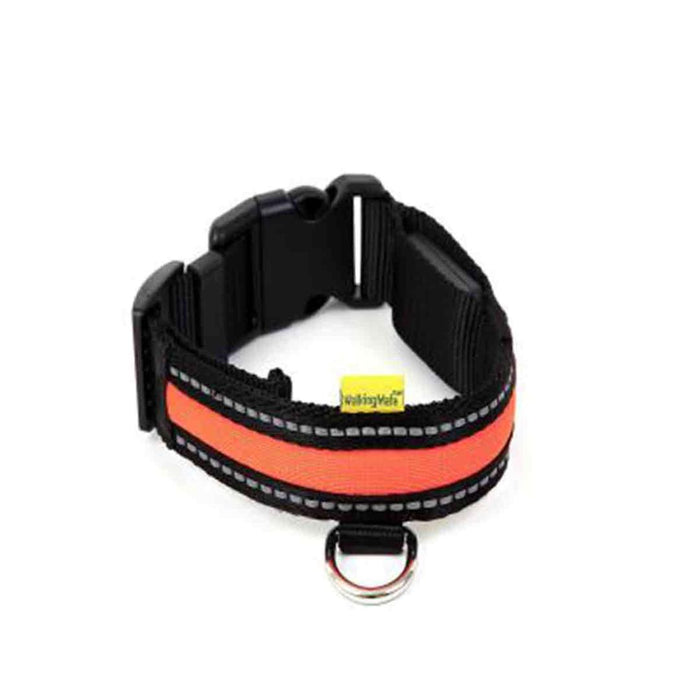 AniMate L.E.D. Collar Orange 20"