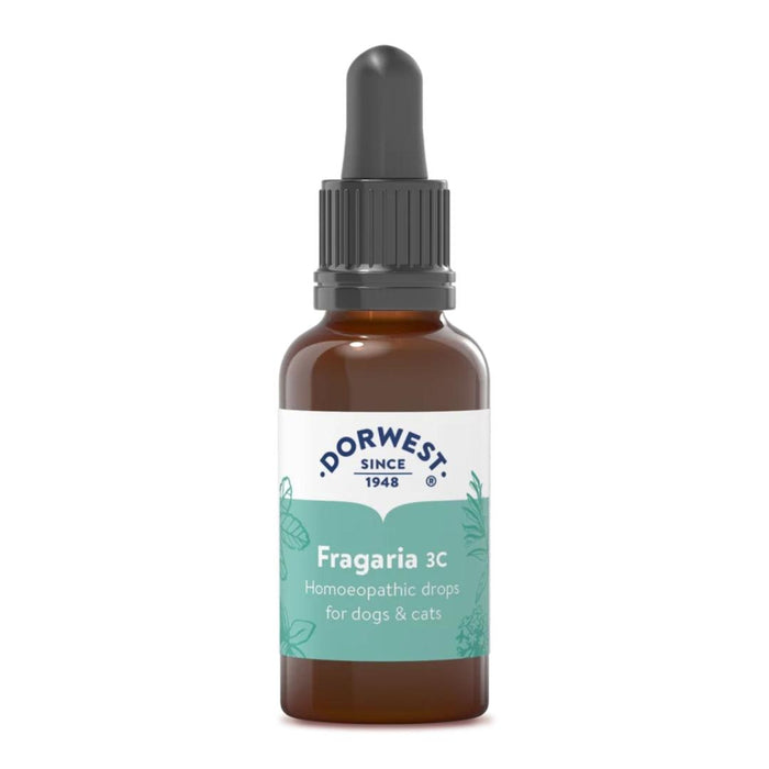 Dorwest Herbs Fragaria 3C Homeopathic Drops for Dogs & Cats