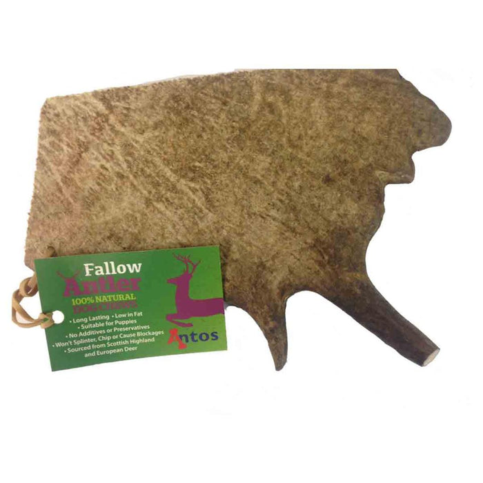 Antos Fallow Antler Medium