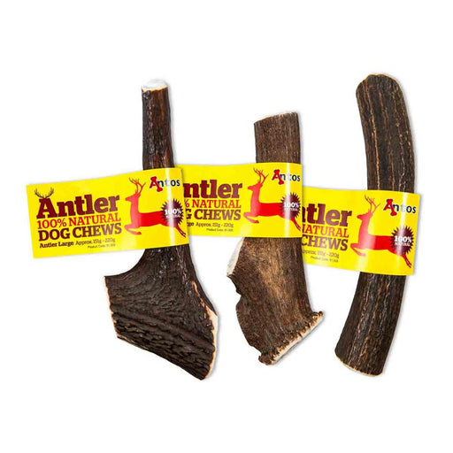 Antos Antler Large