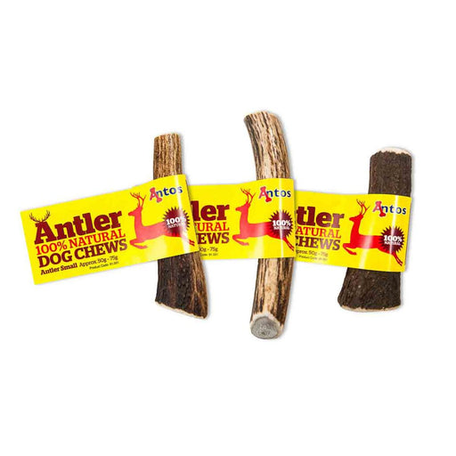 Antos Antler Small