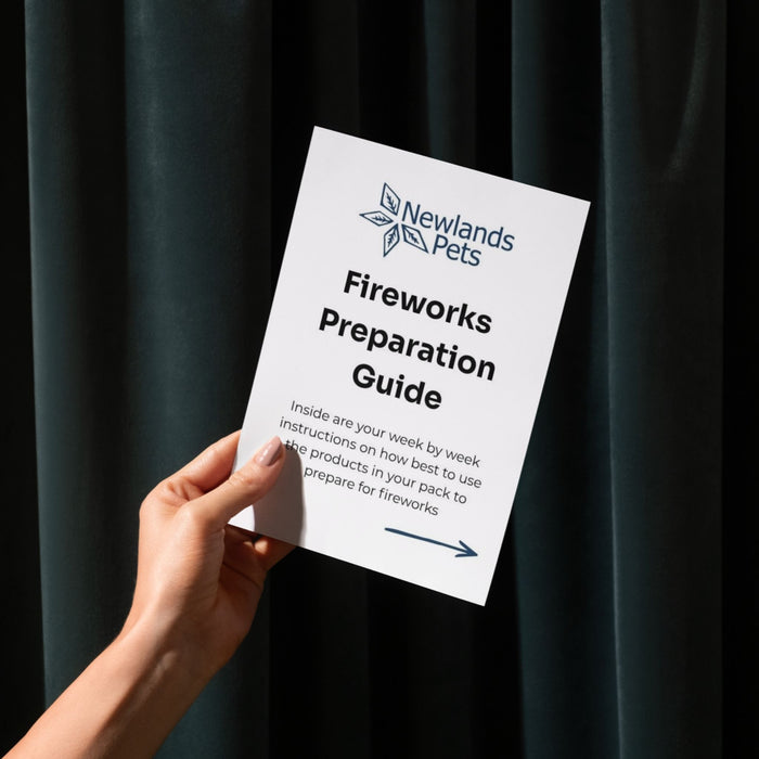 Fireworks Preparation Guide