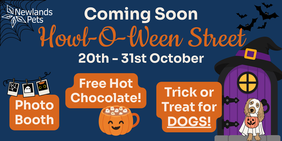 Howl-O-Ween Street is coming