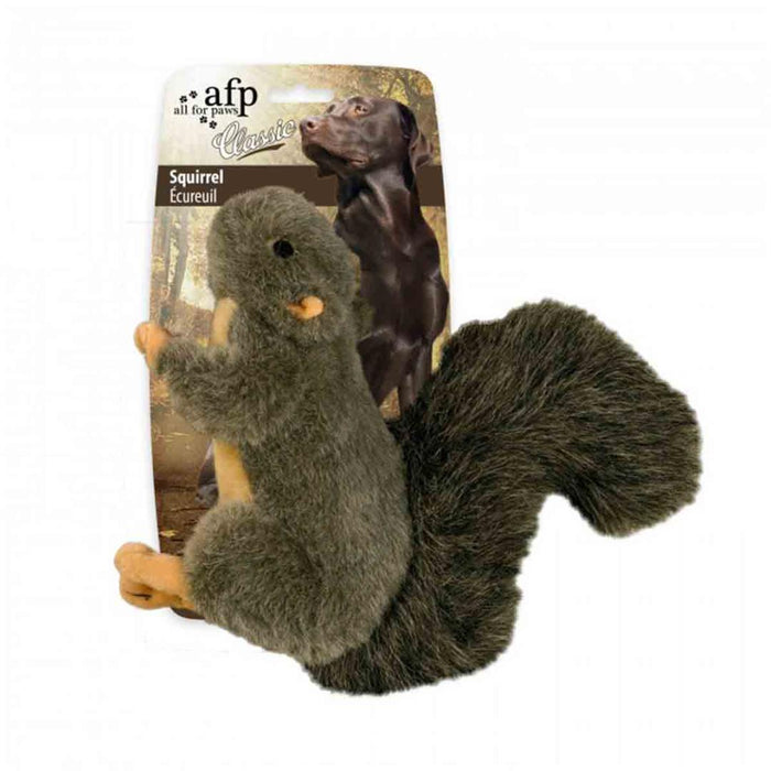 All For Paws Squirrel