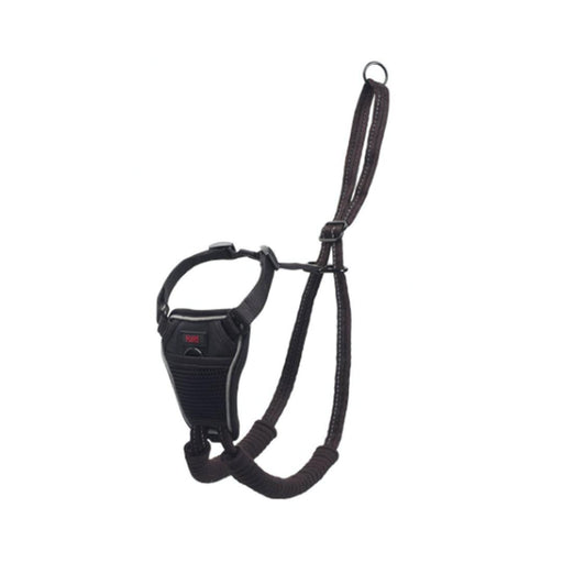 CoA Halti No Pull Harness Large